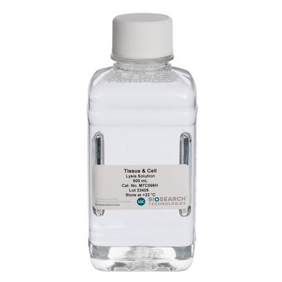 MasterPure Yeast Kit